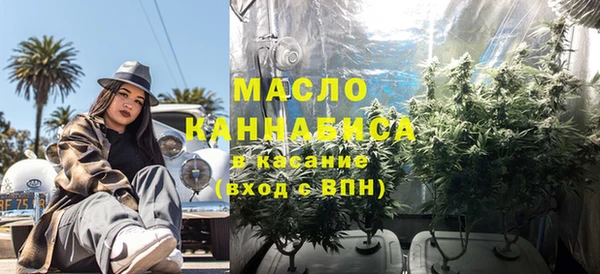 гашик Арсеньев
