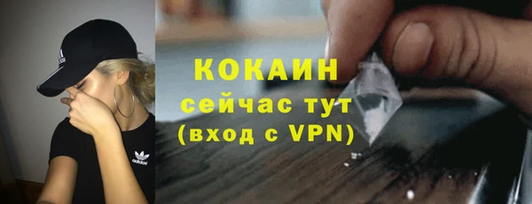 гашик Арсеньев