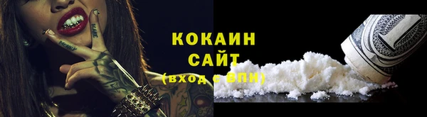 гашик Арсеньев