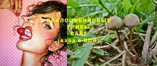дмт Армянск