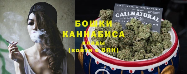 гашик Арсеньев