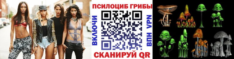 Псилоцибиновые грибы Psilocybine cubensis  где купить наркотик  Закаменск 
